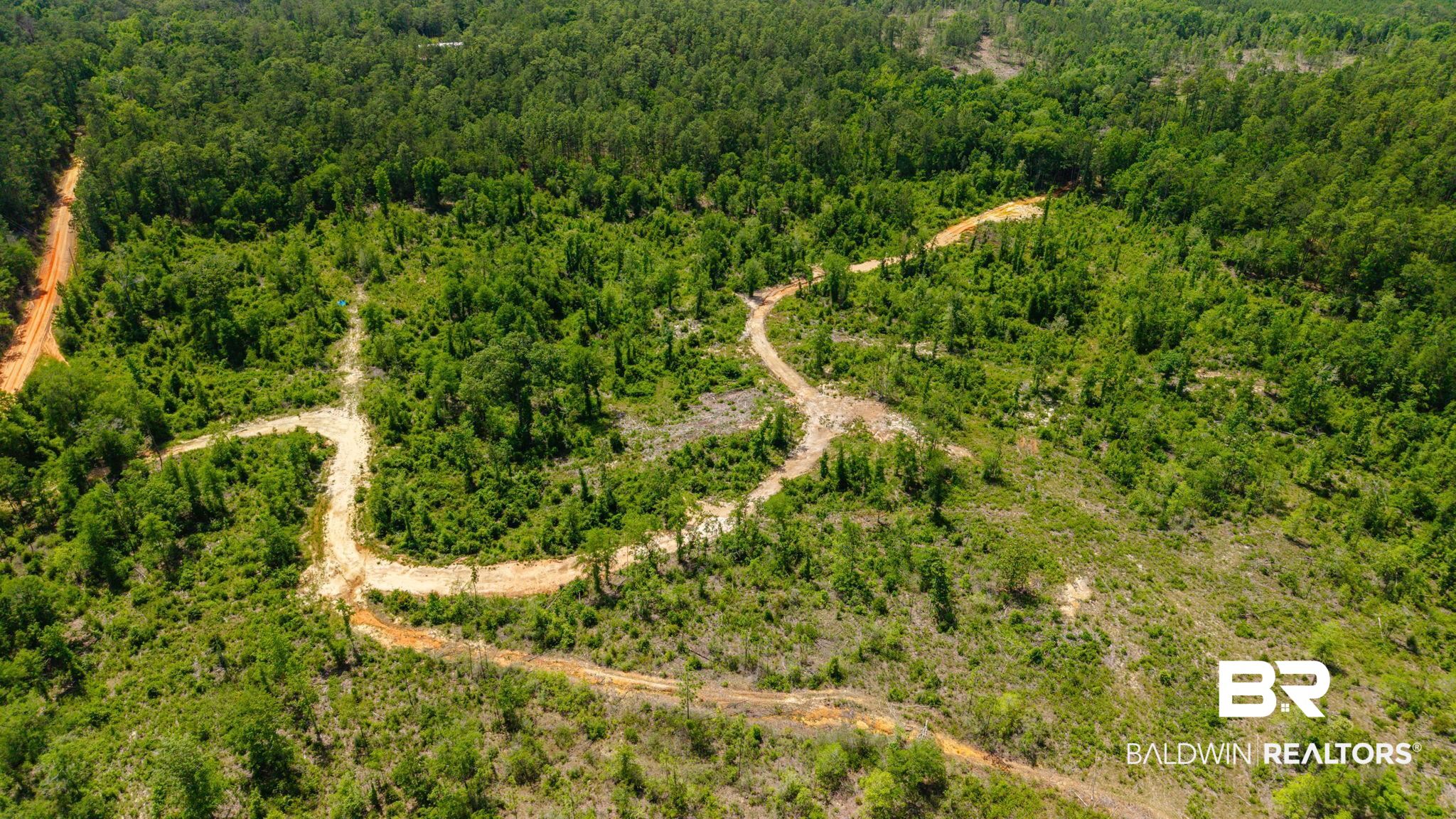 0 Joe Hall Road Bay Minette, AL 36507 - Photo 2 of 13
