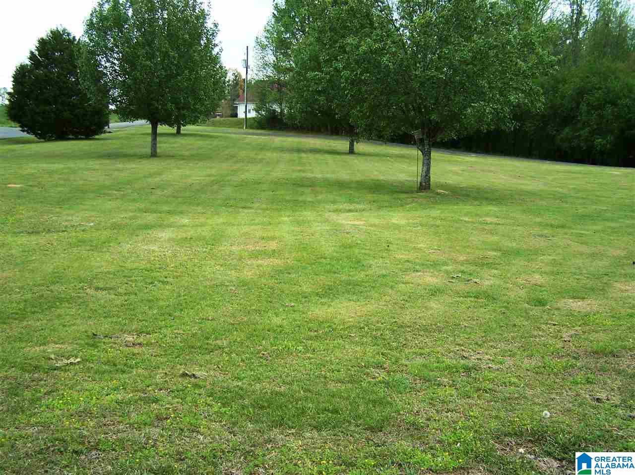 16 Daileys Chapel Road Oneonta, AL 35121 - Photo 9 of 50
