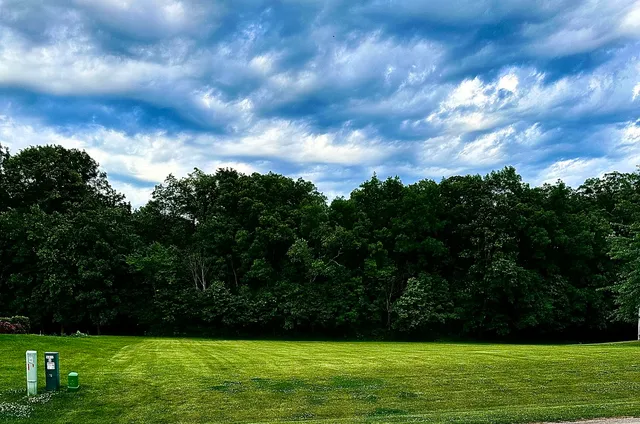 a view of yard with green space