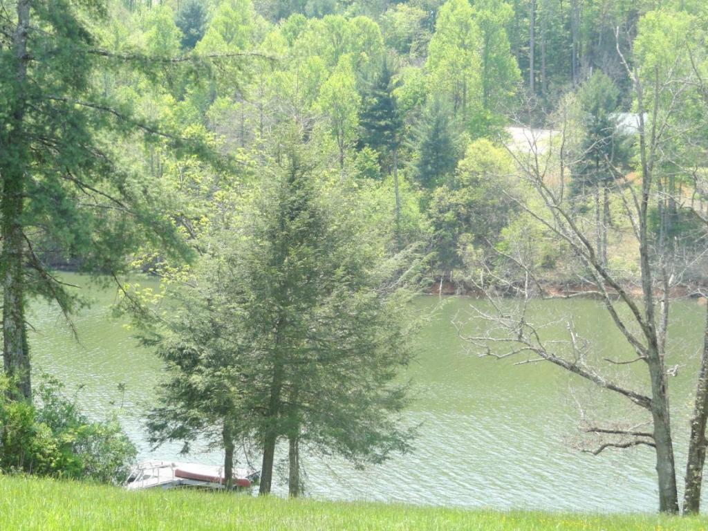 Tbd Harbor Point Road, Unit 44 Butler, TN 37640 - Photo 4 of 5 Photo 4