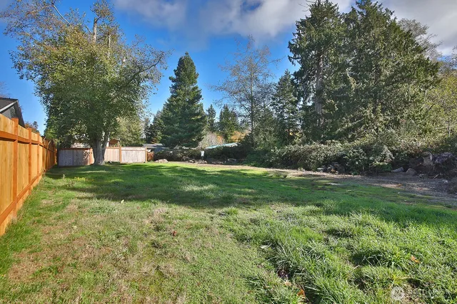 a view of a park with large trees