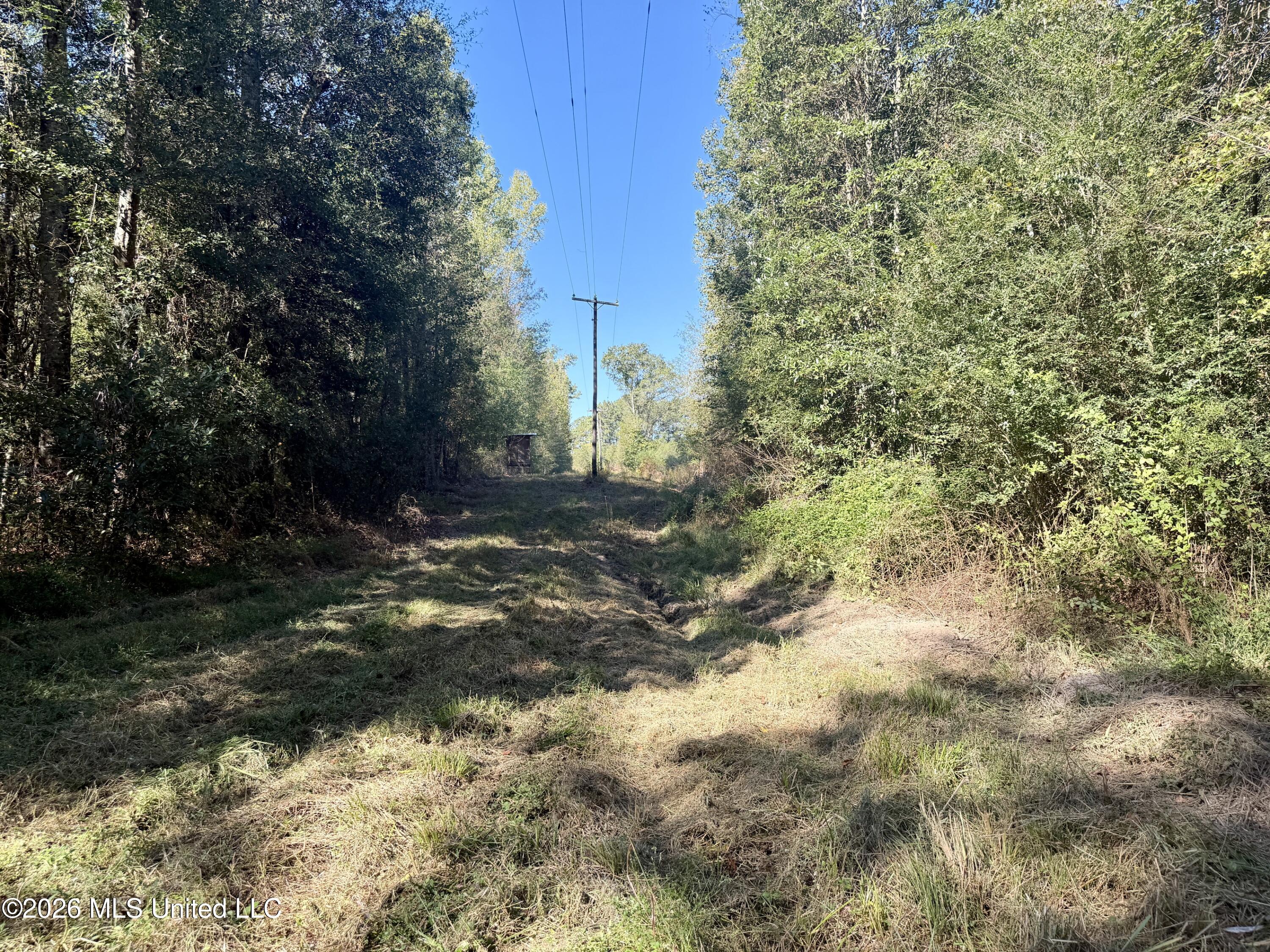 Williams Road Carthage, MS 39051 - Photo 13 of 13 IMG_0952