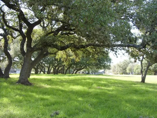 a view of outdoor space with green field and trees