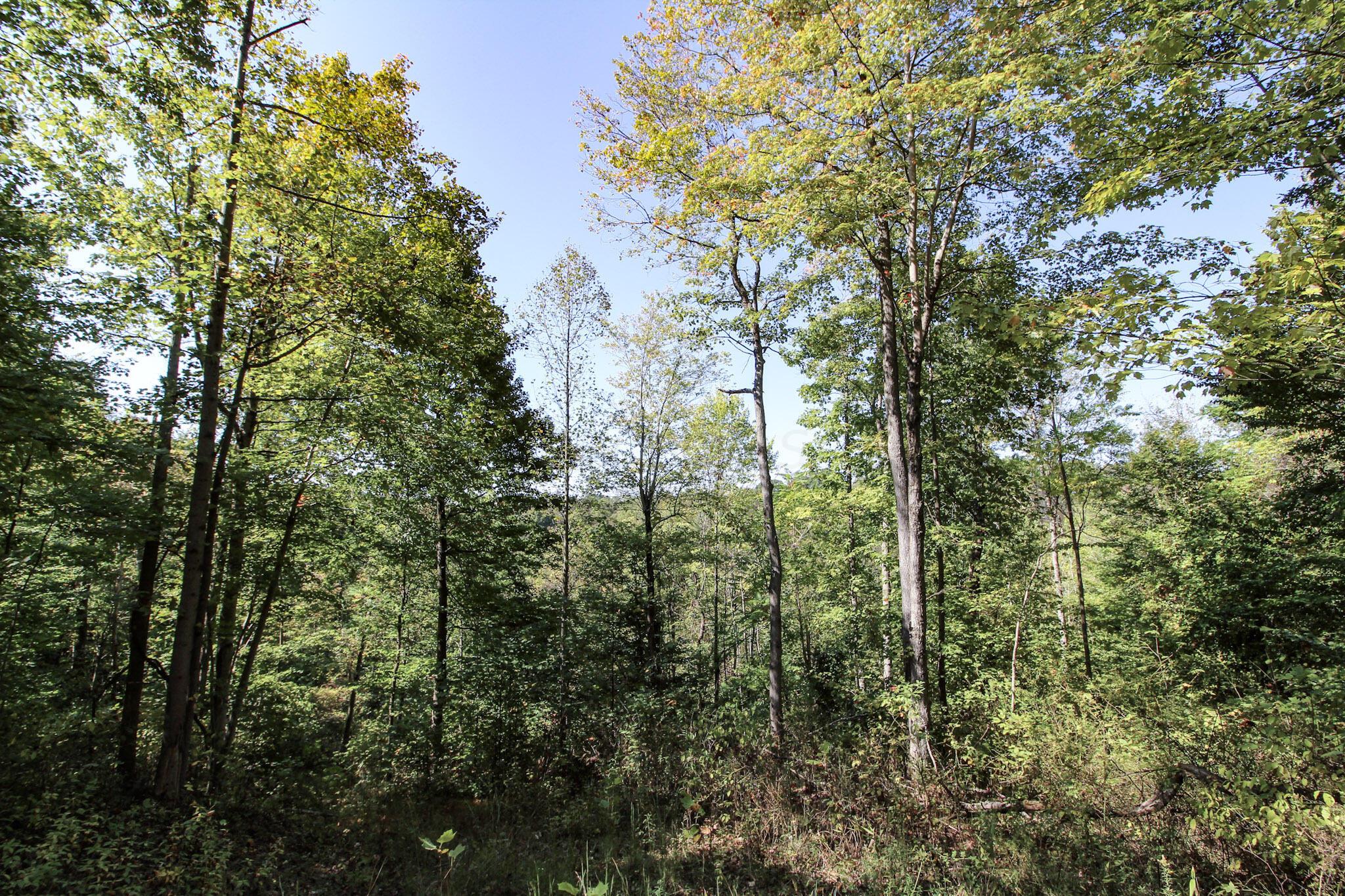 Lot 4 Moss Run Road Marietta, OH 45750 - Photo 12 of 14