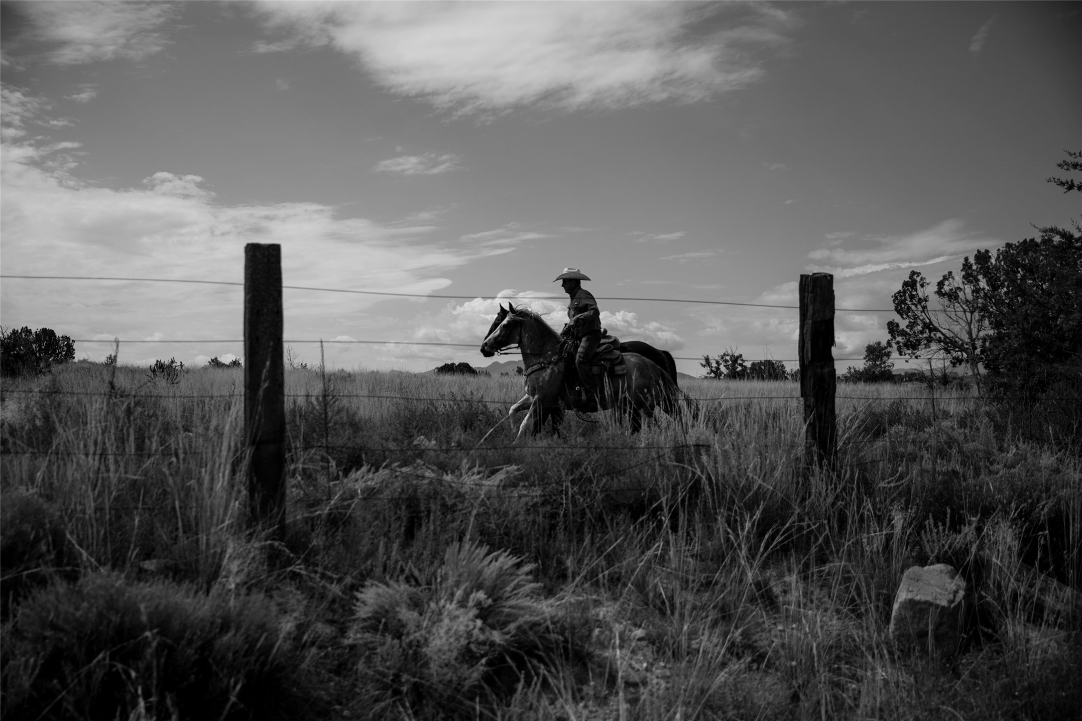37 Rancho Alegre Road Santa Fe, NM 87508 - Photo 21 of 69 Cowboy at Work