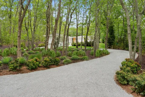 a view of a garden with trees