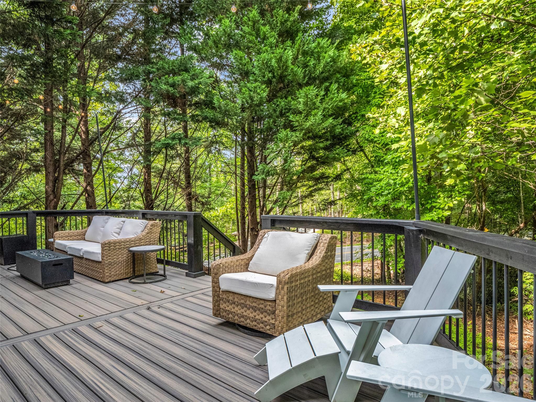 105 Sunset Cove Road Lake Lure, NC 28746 - Photo 4 of 44