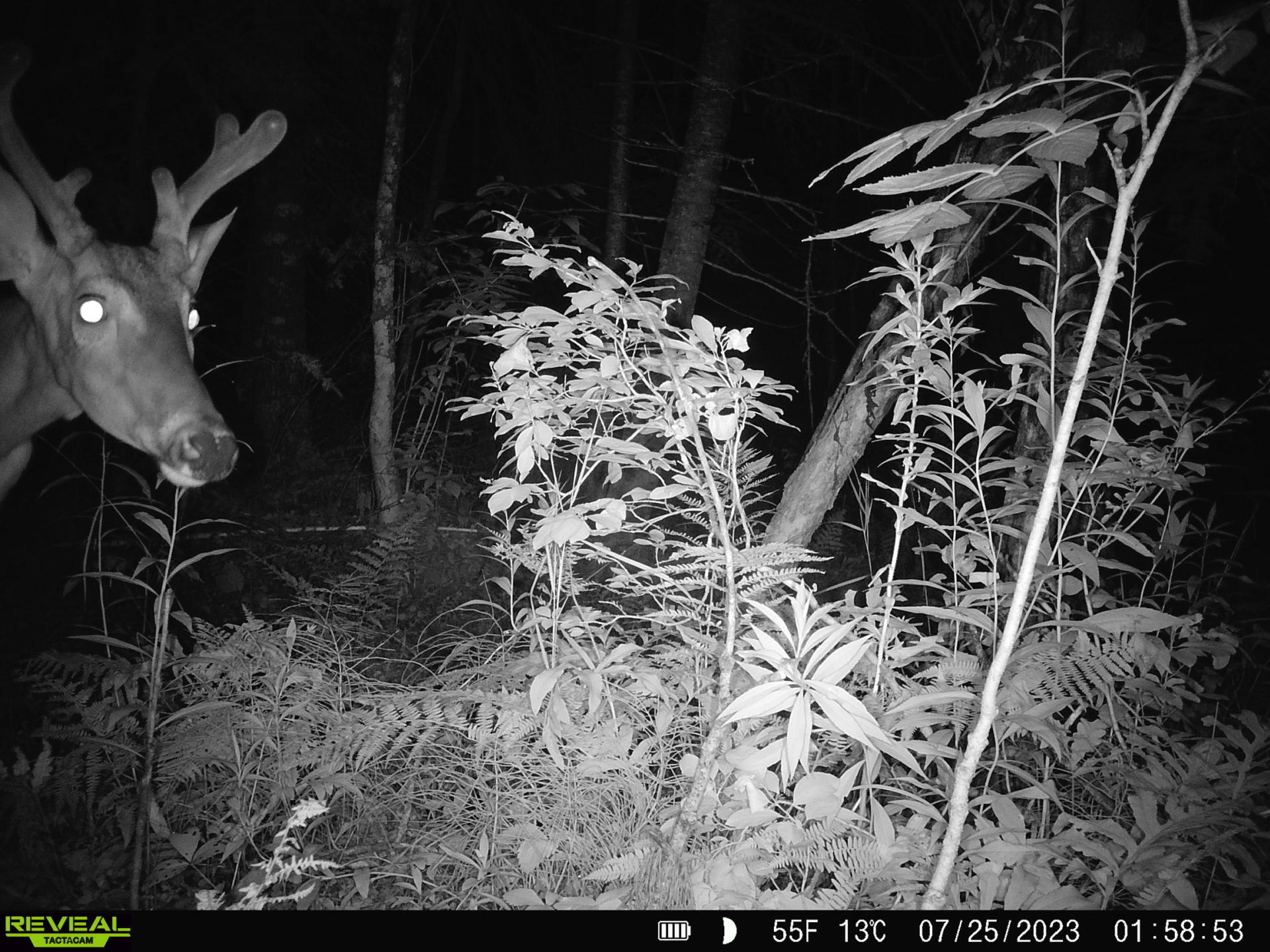 16 East 16 Mile Road Dafter, MI 49724 - Photo 13 of 16 Gallery Image 13