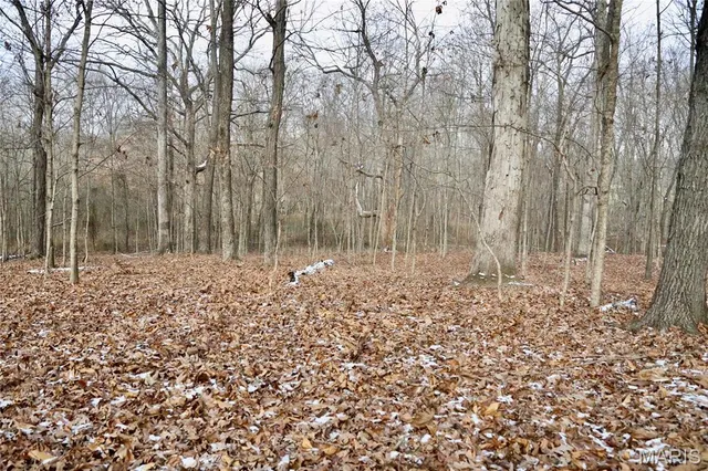 $240,000 | 0 North Maysville Lane, Mount Vernon, IL 62864