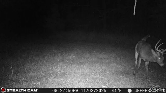 $240,000 | 0 North Maysville Lane, Mount Vernon, IL 62864