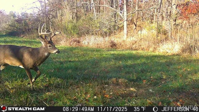 $240,000 | 0 North Maysville Lane, Mount Vernon, IL 62864