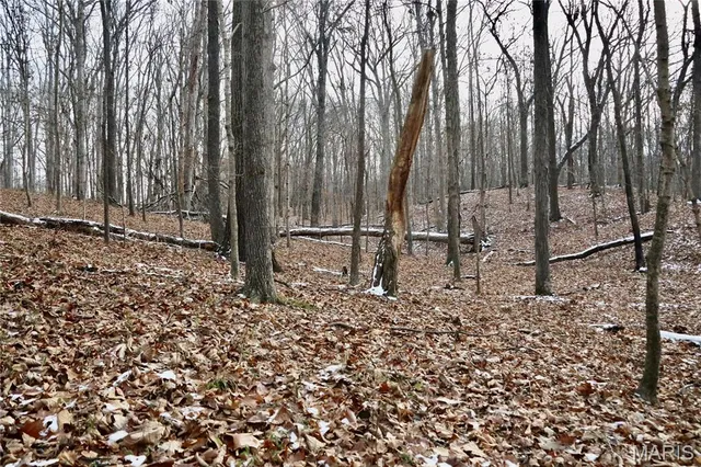 $240,000 | 0 North Maysville Lane, Mount Vernon, IL 62864