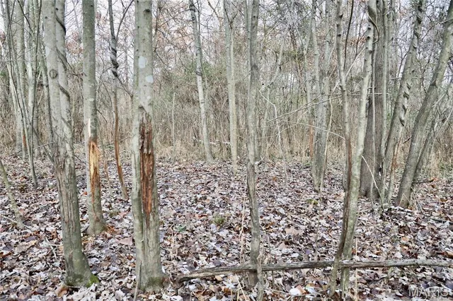 $240,000 | 0 North Maysville Lane, Mount Vernon, IL 62864