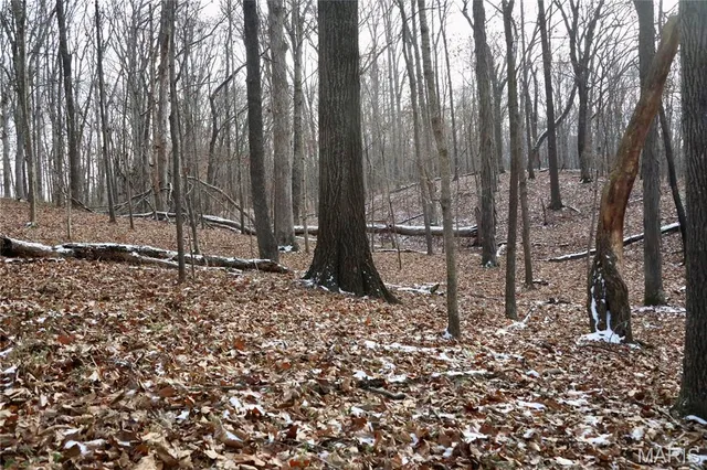 $240,000 | 0 North Maysville Lane, Mount Vernon, IL 62864