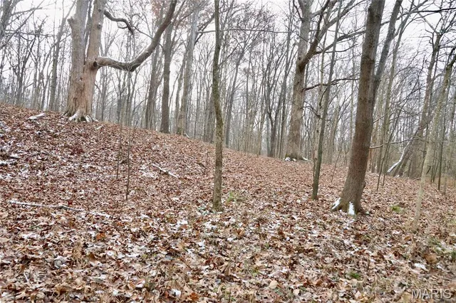 $240,000 | 0 North Maysville Lane, Mount Vernon, IL 62864