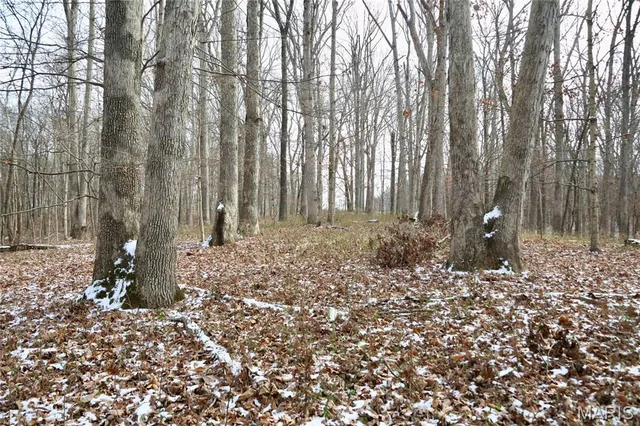 $240,000 | 0 North Maysville Lane, Mount Vernon, IL 62864