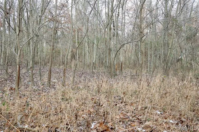 $240,000 | 0 North Maysville Lane, Mount Vernon, IL 62864