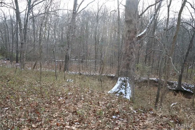 $240,000 | 0 North Maysville Lane, Mount Vernon, IL 62864