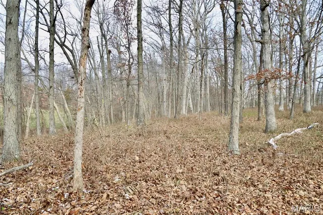 $240,000 | 0 North Maysville Lane, Mount Vernon, IL 62864