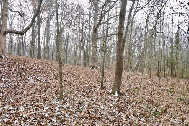 $240,000 | 0 North Maysville Lane, Mount Vernon, IL 62864