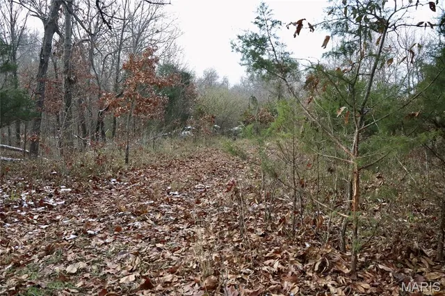 $240,000 | 0 North Maysville Lane, Mount Vernon, IL 62864