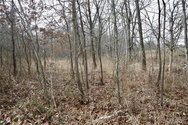 $240,000 | 0 North Maysville Lane, Mount Vernon, IL 62864