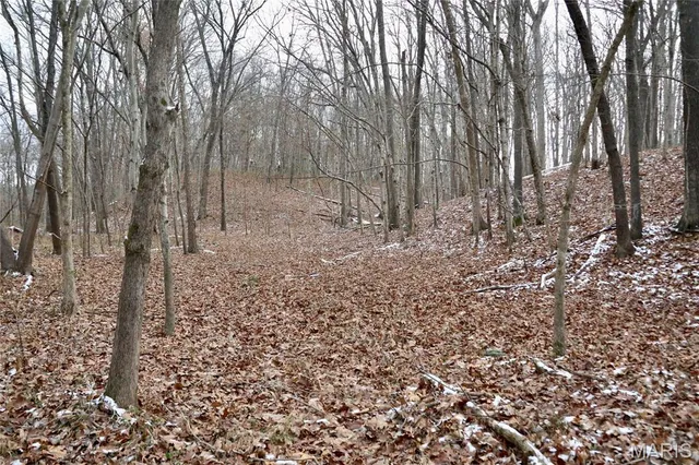 $240,000 | 0 North Maysville Lane, Mount Vernon, IL 62864