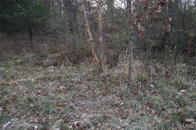 $240,000 | 0 North Maysville Lane, Mount Vernon, IL 62864