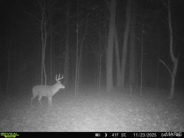 $240,000 | 0 North Maysville Lane, Mount Vernon, IL 62864