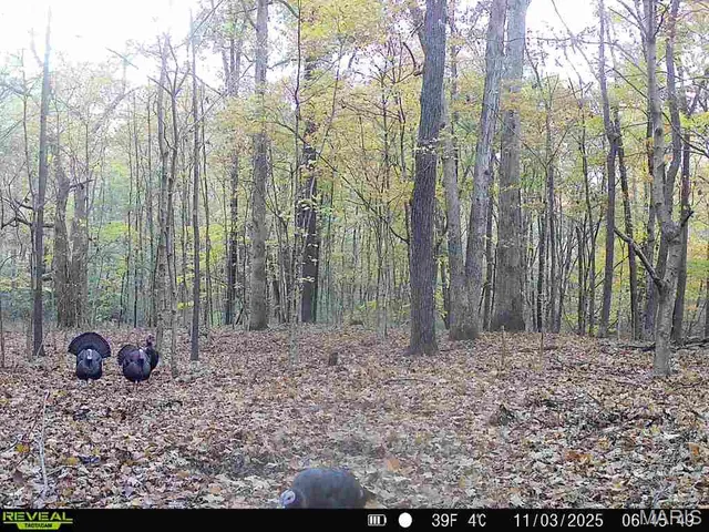 $240,000 | 0 North Maysville Lane, Mount Vernon, IL 62864