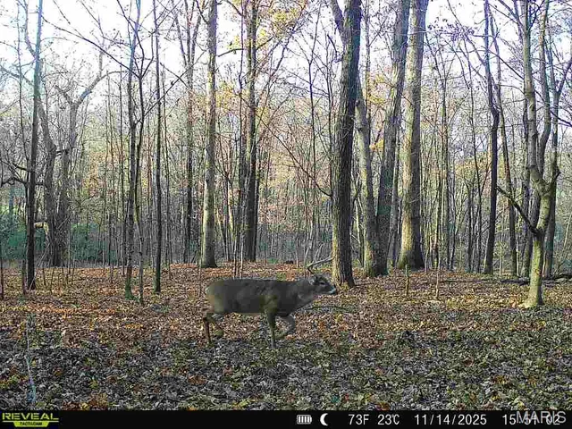 $240,000 | 0 North Maysville Lane, Mount Vernon, IL 62864