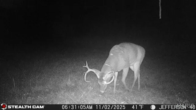 $240,000 | 0 North Maysville Lane, Mount Vernon, IL 62864