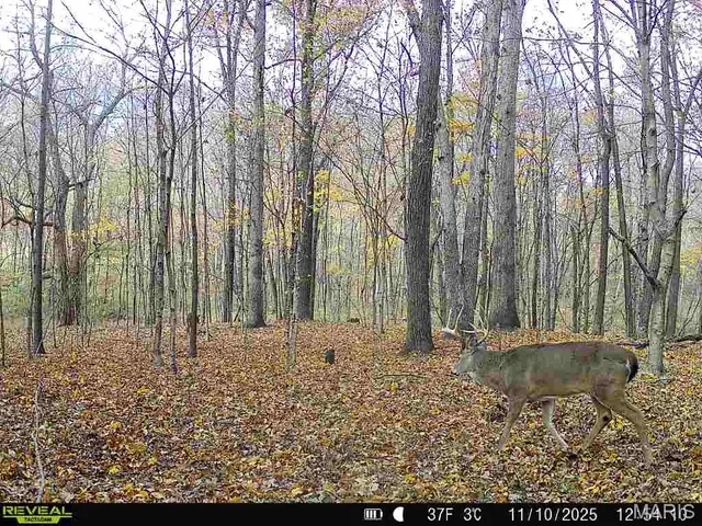 $240,000 | 0 North Maysville Lane, Mount Vernon, IL 62864