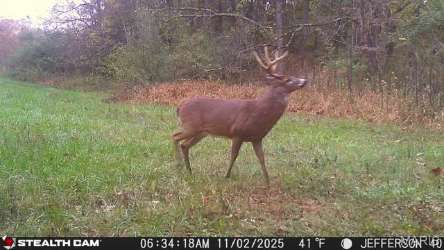 $240,000 | 0 North Maysville Lane, Mount Vernon, IL 62864