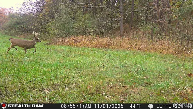 $240,000 | 0 North Maysville Lane, Mount Vernon, IL 62864