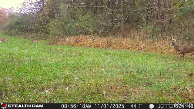 $240,000 | 0 North Maysville Lane, Mount Vernon, IL 62864