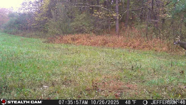 $240,000 | 0 North Maysville Lane, Mount Vernon, IL 62864