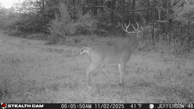 $240,000 | 0 North Maysville Lane, Mount Vernon, IL 62864