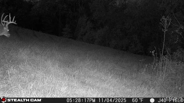 $240,000 | 0 North Maysville Lane, Mount Vernon, IL 62864