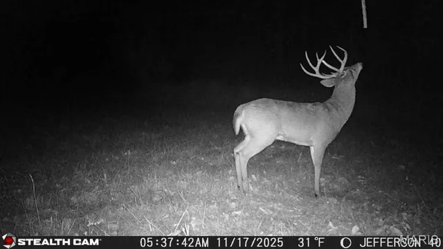 $240,000 | 0 North Maysville Lane, Mount Vernon, IL 62864