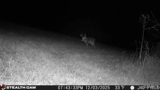 $240,000 | 0 North Maysville Lane, Mount Vernon, IL 62864