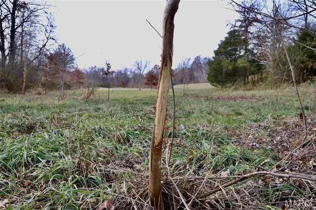 $240,000 | 0 North Maysville Lane, Mount Vernon, IL 62864