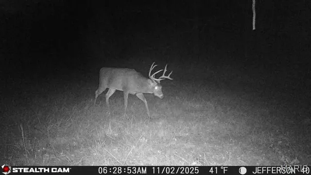 $240,000 | 0 North Maysville Lane, Mount Vernon, IL 62864