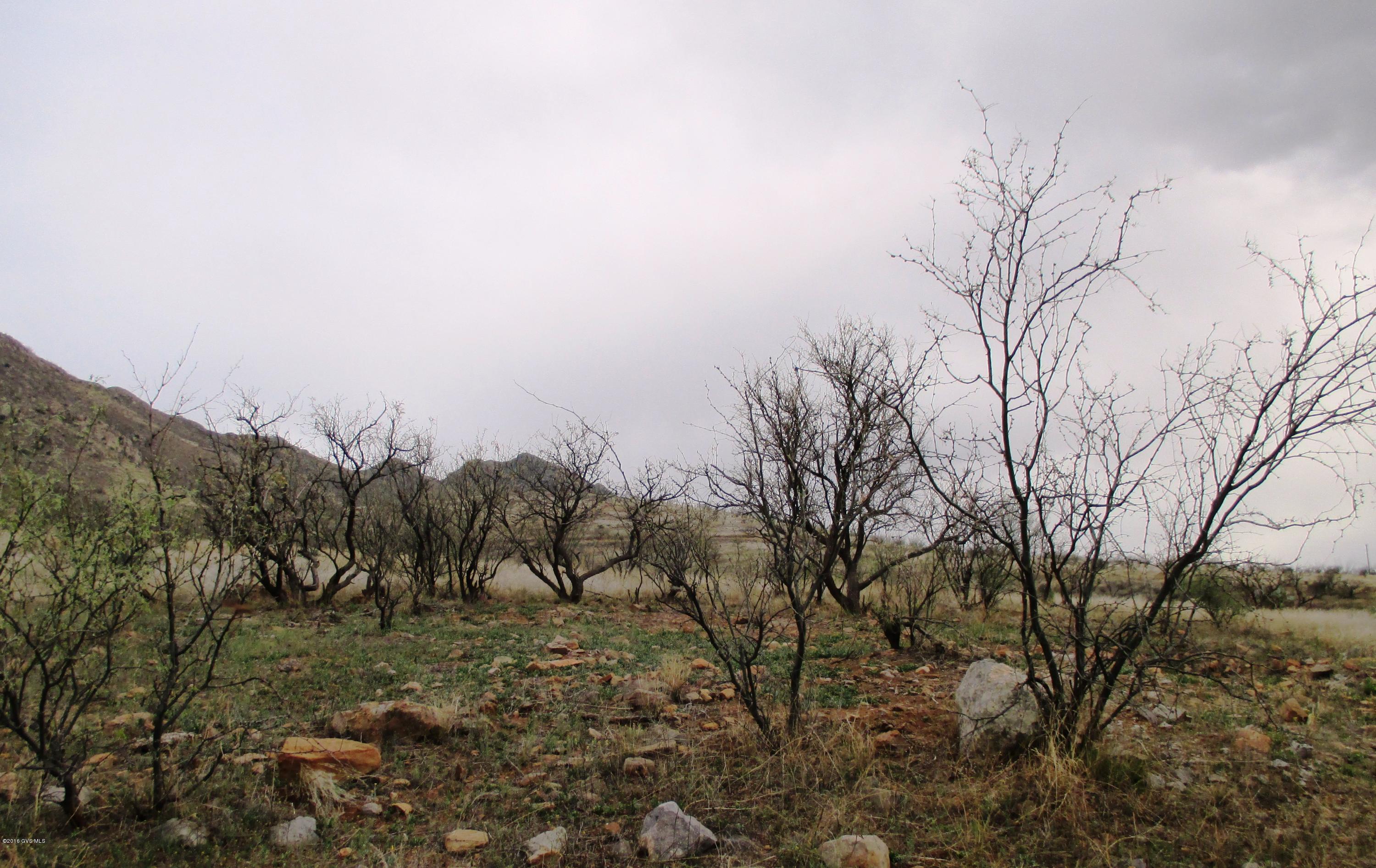 Tbd Via Mazatlan, Unit 134 Rio Rico, AZ 85648 - Photo 11 of 11