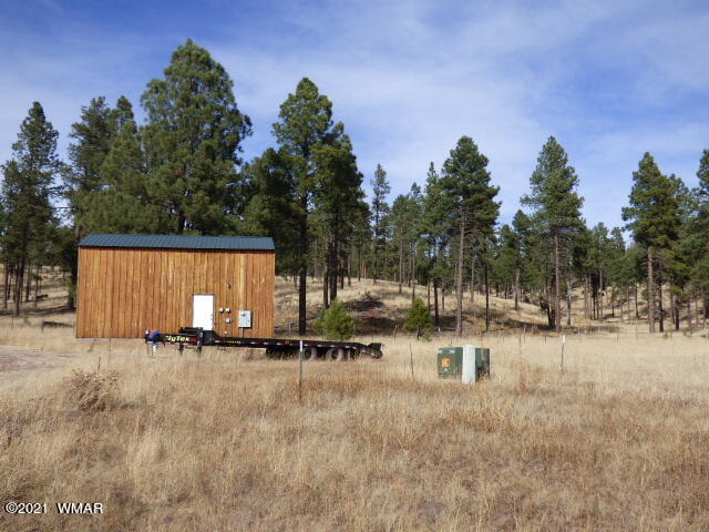 Tract C Tract C The Ranch Alpine, AZ 85920 - Photo 1 of 1