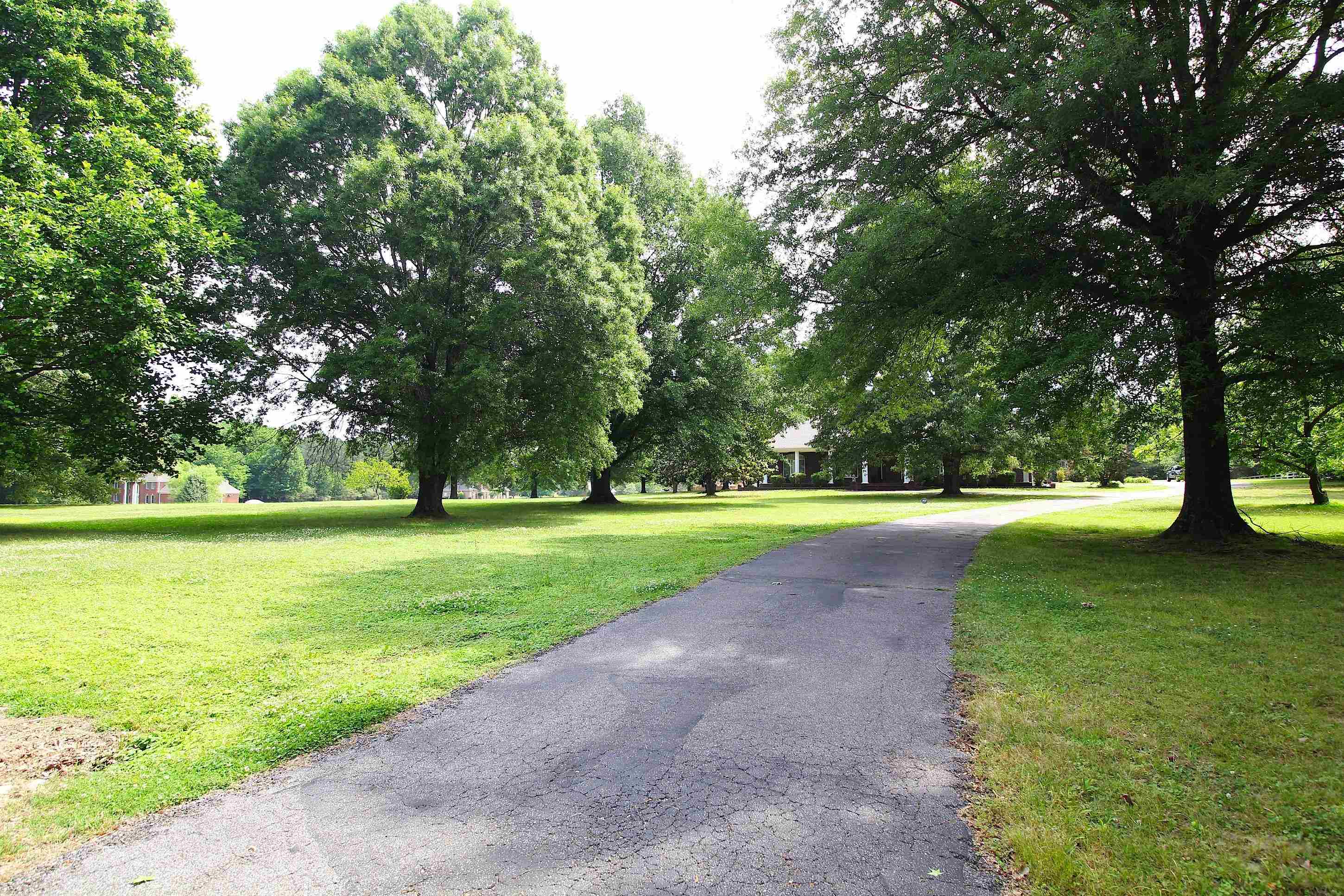 2550 North Reid Hooker Road Eads, TN 38028 - Photo 29 of 32 a view of green field with trees in the background