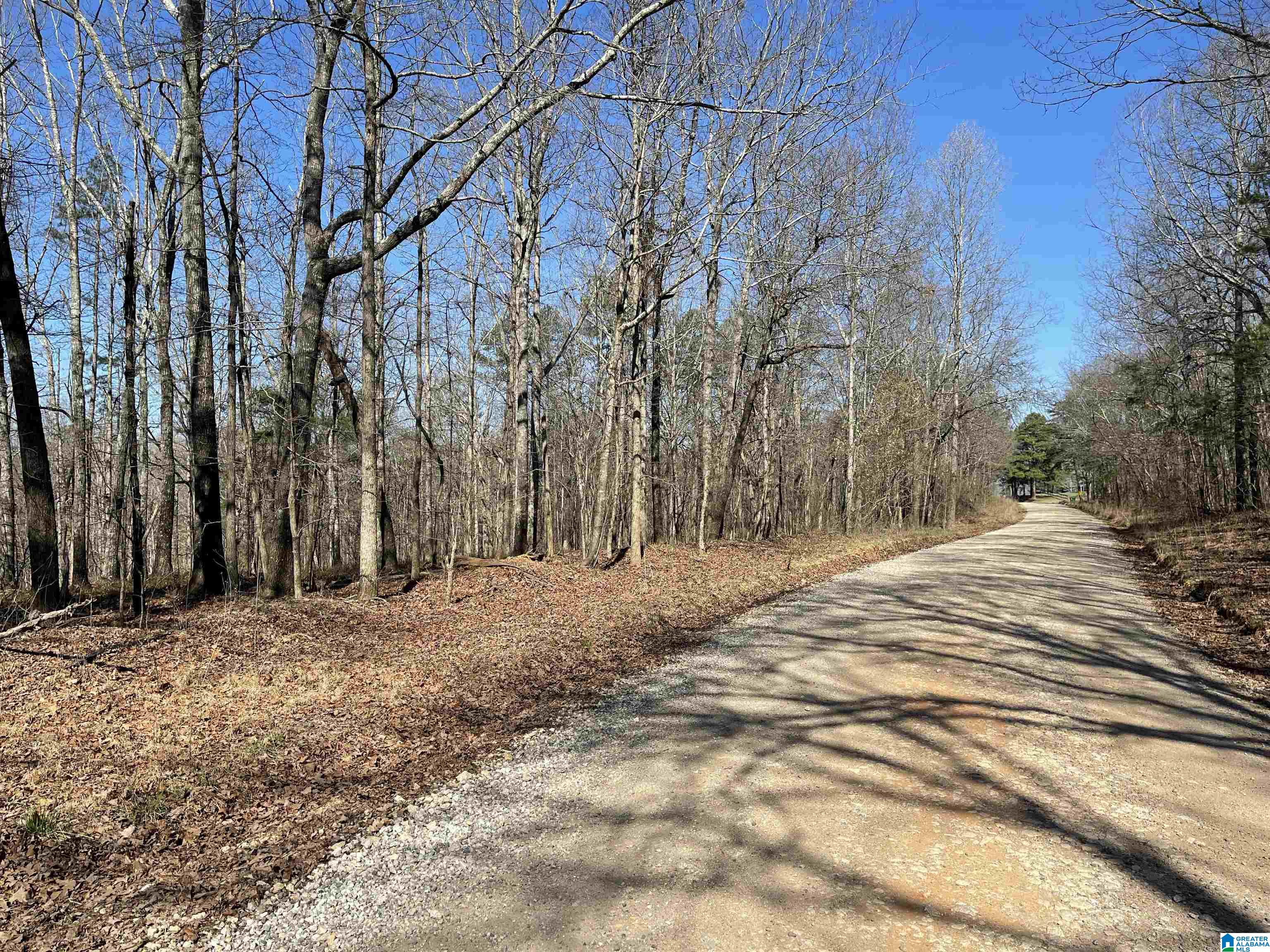 0 County Road 852, Unit 3 Ranburne, AL 36273 - Photo 18 of 23