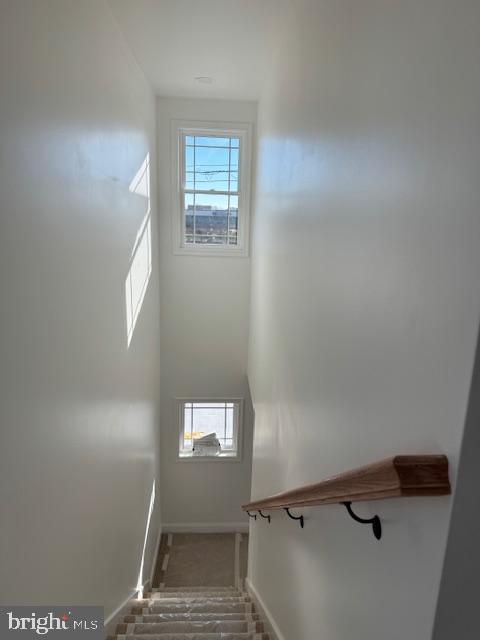 26395 Bay Farm Road Millsboro, DE 19966 - Photo 6 of 19