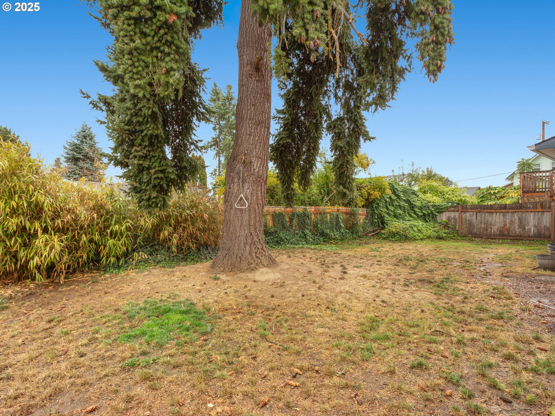 933 North Main Avenue Ridgefield, WA 98642 - Photo 40 of 42 a view of a yard with a tree