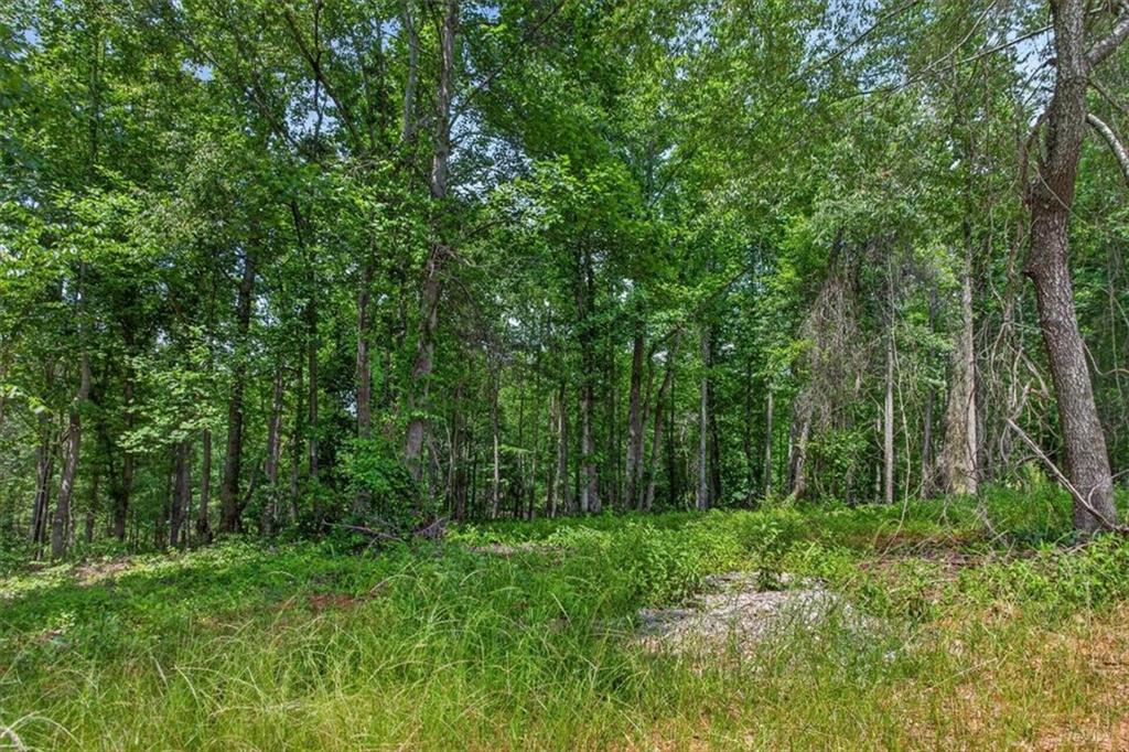 0 Conns Creek Road Ball Ground, GA 30107 - Photo 24 of 57